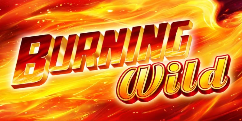 Unleash Your Wild Side with Burning Wild: Thrills Await!